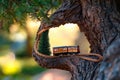 Tiny model train travels through a tree, creating a whimsical forest journey in natural light Royalty Free Stock Photo