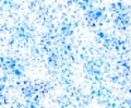 Tiny mosaic blue background Royalty Free Stock Photo