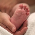 Tiny newborn baby foot in female hands. Royalty Free Stock Photo