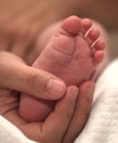 Tiny newborn baby foot in female hands. Royalty Free Stock Photo