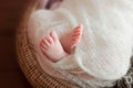 Tiny Newborn Baby`s feet Royalty Free Stock Photo