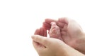 Tiny Newborn Baby's feet on female caring Hands