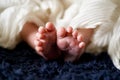 Tiny newborn feet on a warm blanket Royalty Free Stock Photo