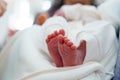 Tiny Newborn Feet Wrapped in Soft Blanket Royalty Free Stock Photo