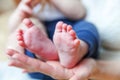 Tiny newborn infant male or female baby feet and toes on mother hand Royalty Free Stock Photo