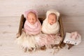 Tiny newborn twin girls in a pink and white cocoon in a cute wooden crib. Royalty Free Stock Photo