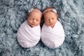 Tiny newborn twin girls in white cocoons on a blue background. Royalty Free Stock Photo