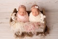 Tiny newborn twin girls in a white and pink cocoon in a cute wooden crib. Royalty Free Stock Photo