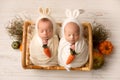 Tiny newborn twins boys in white cocoons in a wooden basket against a light wood background. Royalty Free Stock Photo