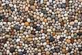 tiny pebble stone wall with uniformity Royalty Free Stock Photo