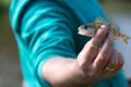 Tiny perch fish in man`s hand cought during fishing Royalty Free Stock Photo