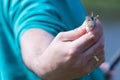 Tiny perch fish in man`s hand cought during fishing Royalty Free Stock Photo