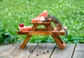 Tiny picnic table for a chipmunk