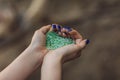 Tiny pieces of plastic collected from sandy beach in hands of environmentalist. Microplastic is polluting the sea and Royalty Free Stock Photo