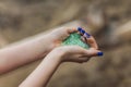 Tiny pieces of plastic collected from sandy beach in hands of environmentalist. Microplastic is polluting the sea and Royalty Free Stock Photo