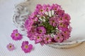 Tiny Pink Flowers On White Plate