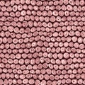 Tiny Pink Rose Squiggly Swirly Spiral Circles Seamless Texture Pattern