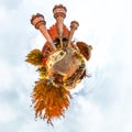 Tiny planet with fantasy old children`s castle and trees. Orange color. Autemn.