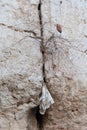 Tiny prayer notes inserted into the cracks and crevices of the Western Wall holy site in Jerusalem, Israel Royalty Free Stock Photo