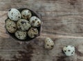 Tiny quail eggs with brown spots, topview Royalty Free Stock Photo