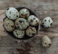 Tiny quail eggs with brown spots, topview Royalty Free Stock Photo