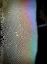 Tiny rainbow bubbles