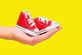 Tiny Red Canvas Shoes in Hand on Yellow