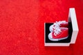 Tiny Red Canvas Shoes in a Small Gift Box