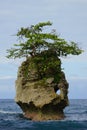 Tiny rocky island with a small tropical tree on top surrounded with blue sea water up close Royalty Free Stock Photo