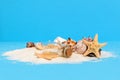 Tiny sandy treasure island with message bottle, sea stars or starfisch and seashells Royalty Free Stock Photo