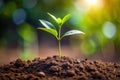 A tiny sapling emerging from rich soil, basking in the warmth of sunlight, a symbol of new life and growth. Generative AI Royalty Free Stock Photo