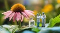 Tiny scientists study immuneboosting echinacea in huge flower Royalty Free Stock Photo