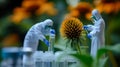 Tiny scientists study immuneboosting echinacea in huge flower Royalty Free Stock Photo