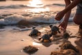 Tiny sea turtles tread across the beach towards the ocean, guided by caring human hands, against the backdrop of a golden sunset