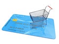 Tiny Shopping Cart on Credit Card