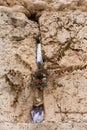 Tiny prayer notes inserted into the cracks and crevices of the Western Wall holy site in Jerusalem, Israel Royalty Free Stock Photo