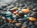 Tiny Snail Ocean Rocks, Colorful Stones, Marine Life AI Generated Royalty Free Stock Photo