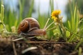 Tiny Snail Among Grass Blades. Generative AI Royalty Free Stock Photo