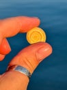 Tiny snail shell held between fingers on blue background, macro with detailed spiral texture. Royalty Free Stock Photo