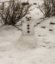 Tiny Snow Man In Fresh Snow