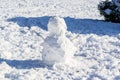Tiny snowman in the snow