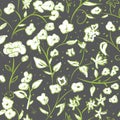 Tiny spring flowers doodle drawing pattern Royalty Free Stock Photo