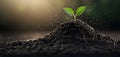 A Tiny Sprout Emerges From Rich Soil, Symbolizing New Beginnings and the Beauty of Nature\'s Cycle