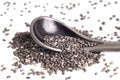 Tiny steel spoon in a heap of chia seeds on white background