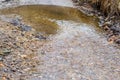 A small seasonal forest stream at the end of winter. Royalty Free Stock Photo