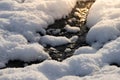 Tiny stream running with fresh snow.. Royalty Free Stock Photo