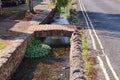 A tiny stream runs through the trees and under a small bridge in an idyllic Somerset village