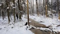 Tiny stream in winter forest Royalty Free Stock Photo