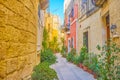 The tiny street with plants in Naxxar, Malta