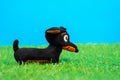 Tiny stuffed toy in shape of dachshund dog stands on grass of artificial lawn. Recreating learning process and training